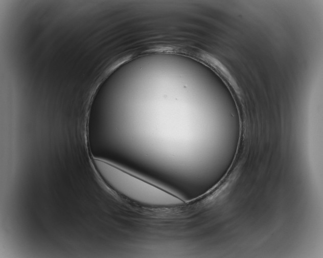 X0000089361433200706150814