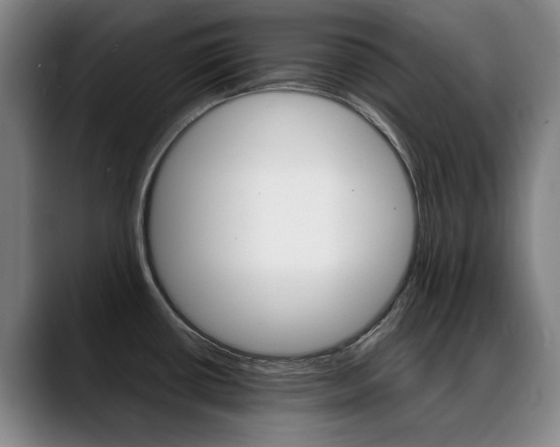 X0000089361434200706150814