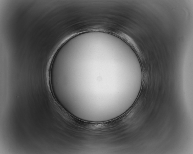 X0000089361435200706150814