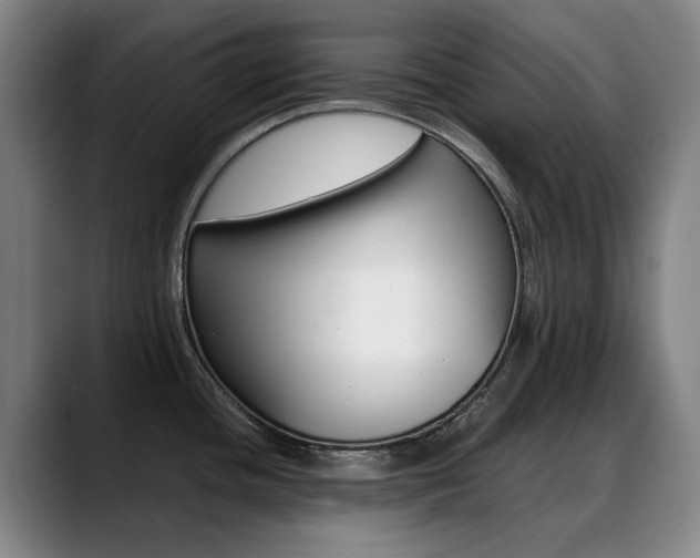 X0000089361436200706150814