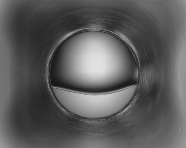 X0000089361437200706150814