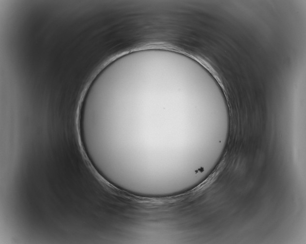 X0000089361438200706150814