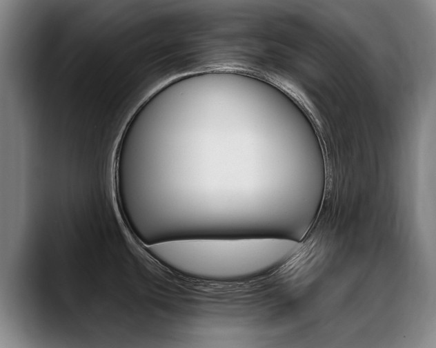 X0000089361439200706150814