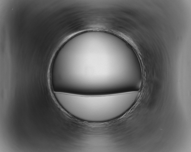 X0000089361440200706150814