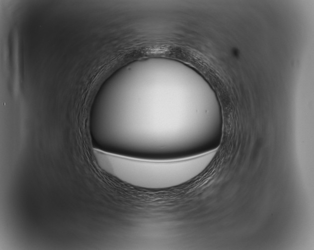 X0000089361441200706150814