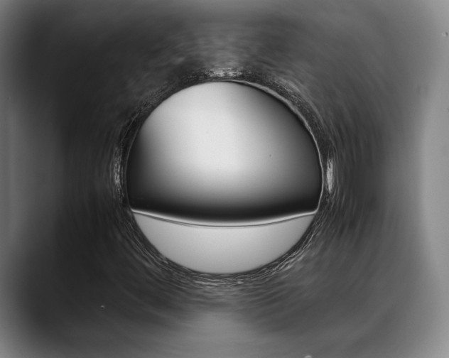 X0000089361444200706150814