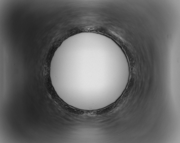 X0000089361447200706150814