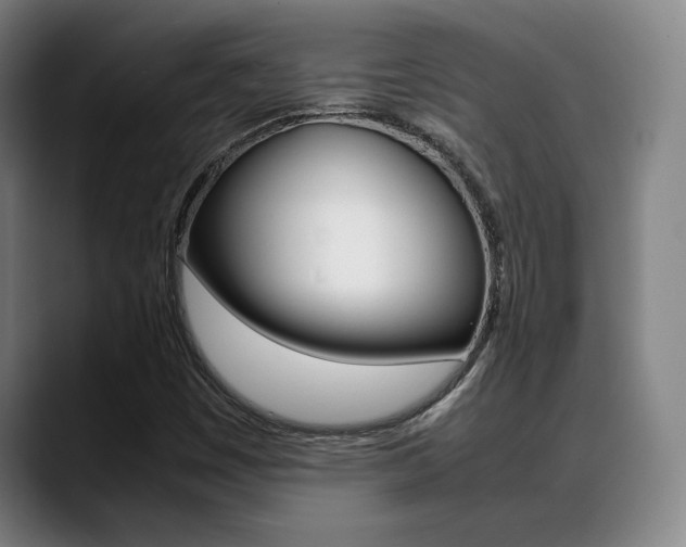 X0000089361449200706150813