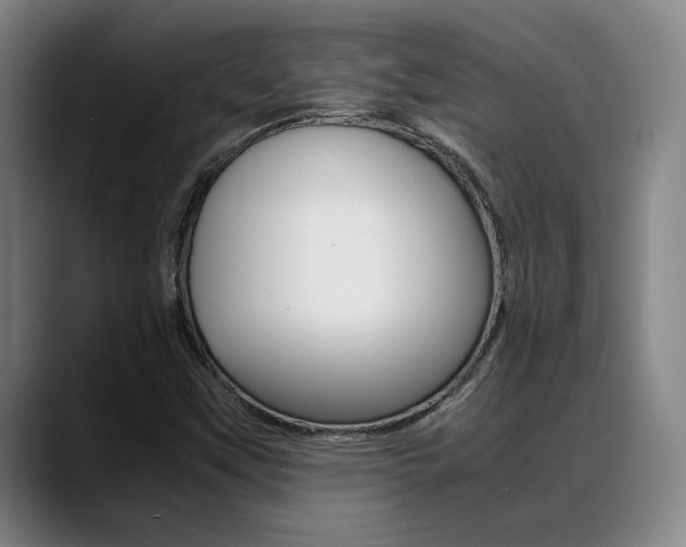 X0000089361451200706150813
