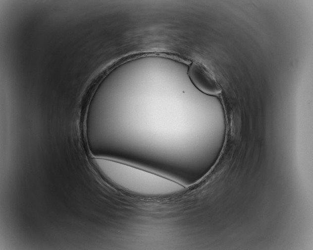 X0000089361452200706150813