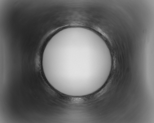 X0000089361454200706150813