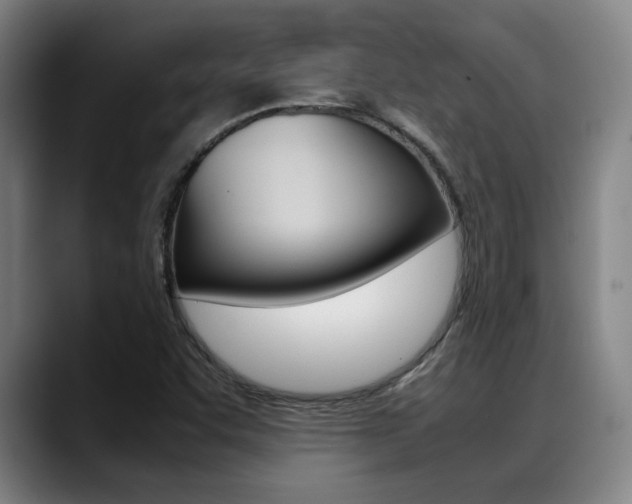 X0000089361455200706150813