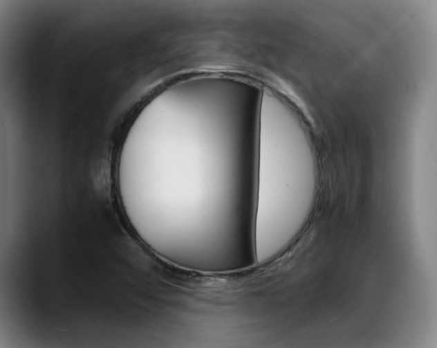 X0000089361456200706150813