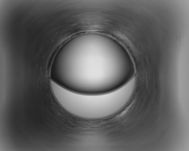 X0000089361457200706150813
