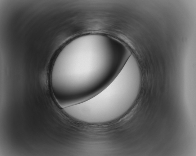 X0000089361458200706150813