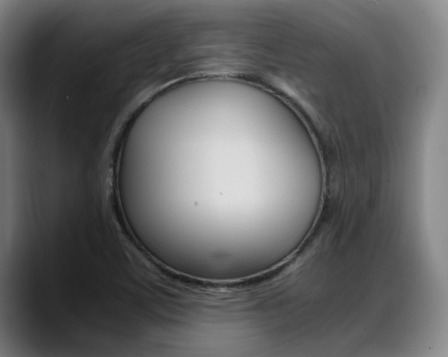 X0000089361459200706150813