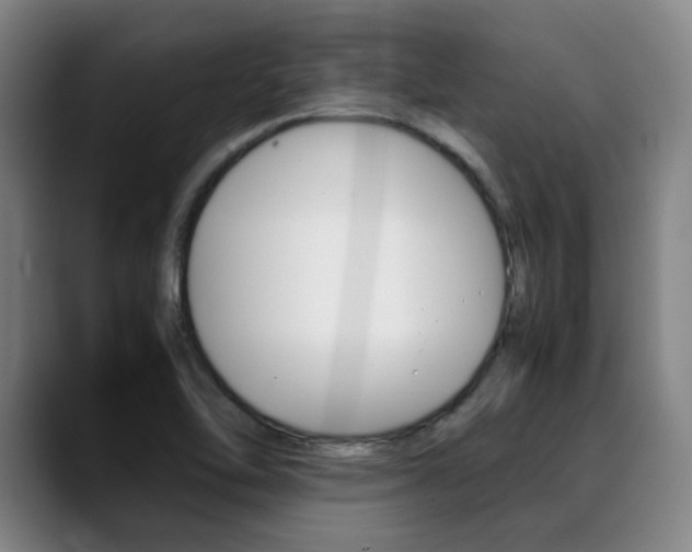 X0000089361462200706150813