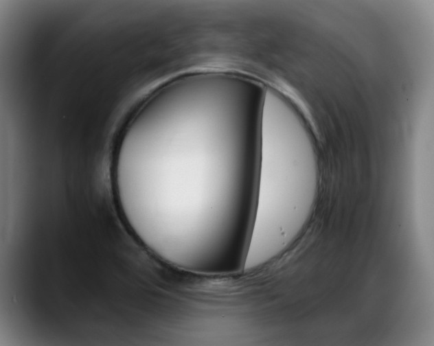 X0000089361464200706150813