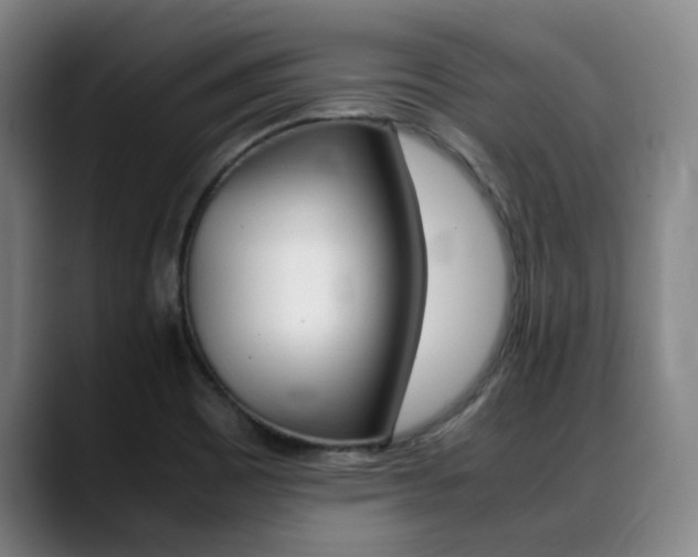 X0000089361465200706150813