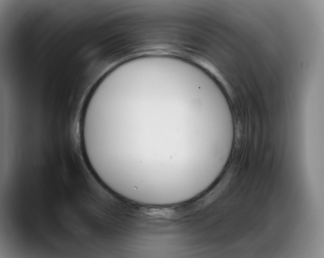 X0000089361466200706150813