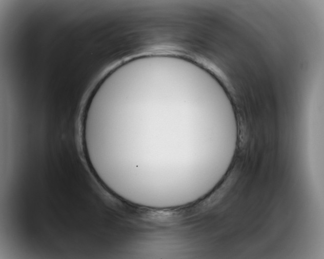 X0000089361470200706150813