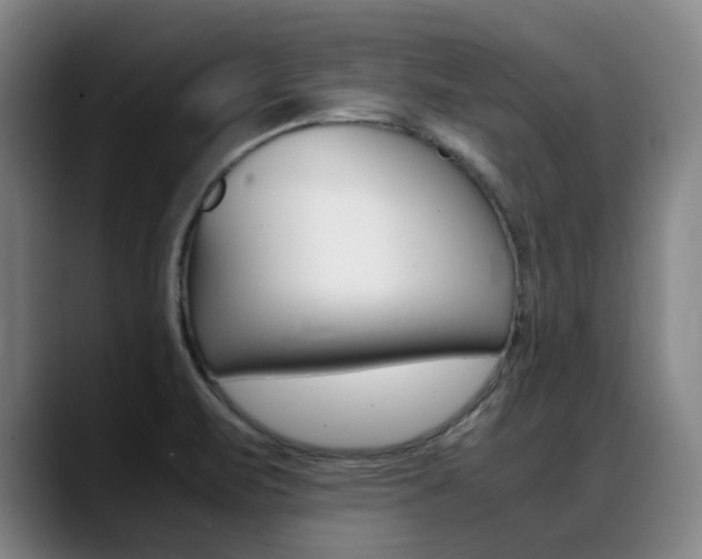 X0000089361471200706150813
