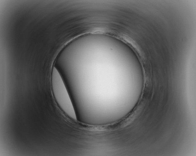 X0000089361473200706150813