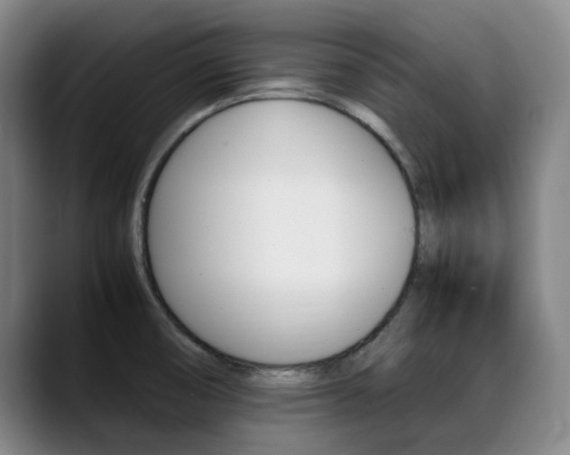 X0000089361474200706150813