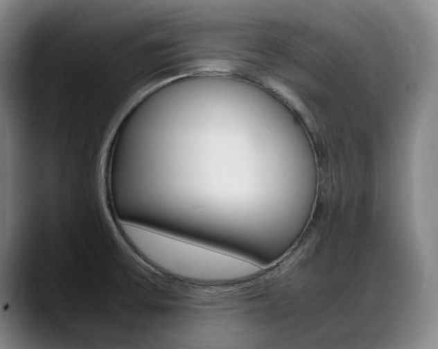 X0000089361475200706150813