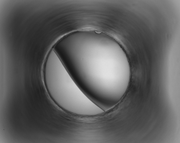 X0000089361476200706150813