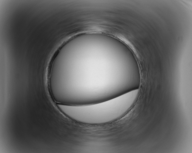 X0000089361477200706150813