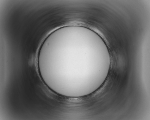 X0000089361478200706150813