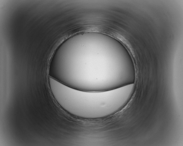 X0000089361481200706150813