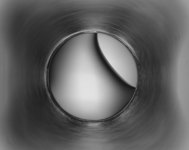 X0000089361484200706150813