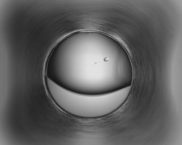 X0000089361485200706150813