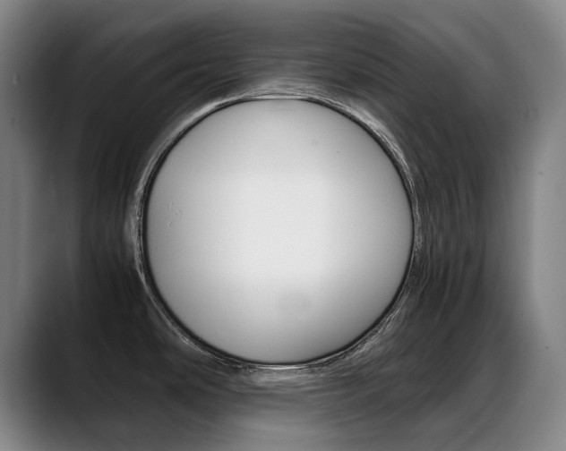 X0000089361486200706150813