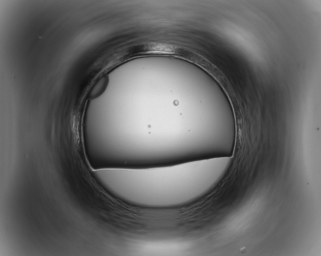 X0000089361487200706150813
