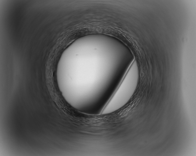 X0000089361489200706150812