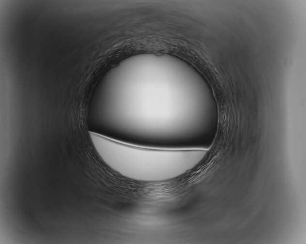 X0000089361490200706150812