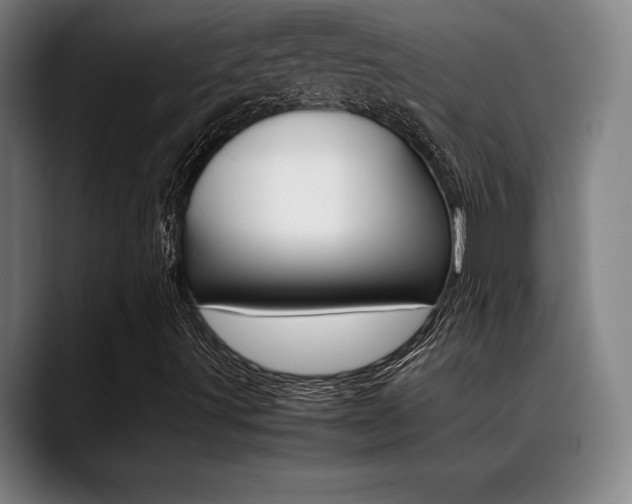 X0000089361491200706150812