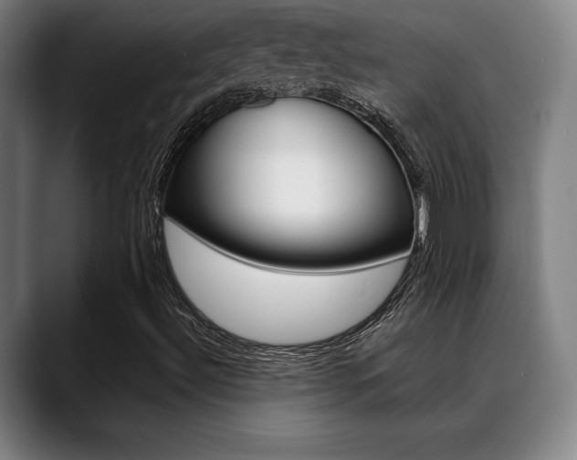 X0000089361492200706150812