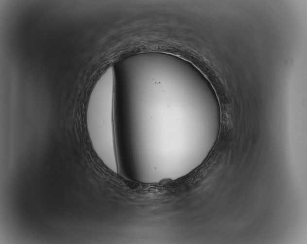X0000089361493200706150812