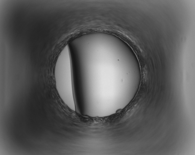 X0000089361494200706150812