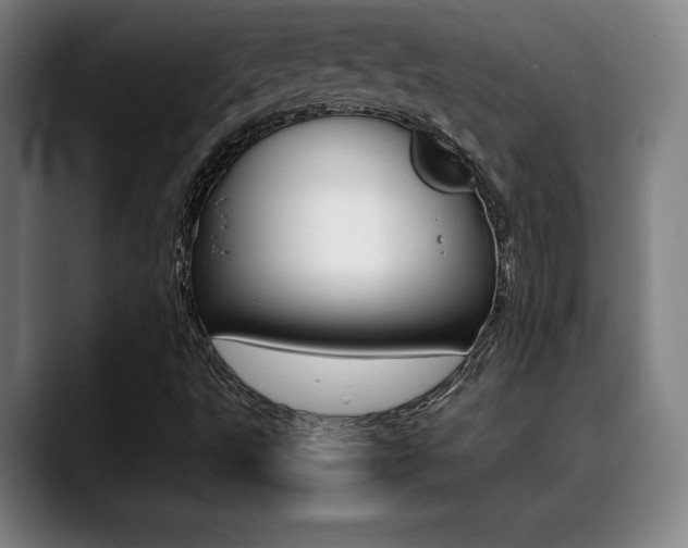 X0000089361495200706150812