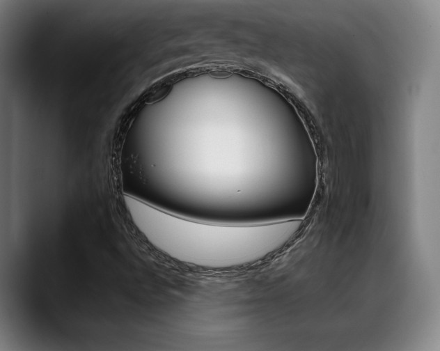 X0000089361496200706150812