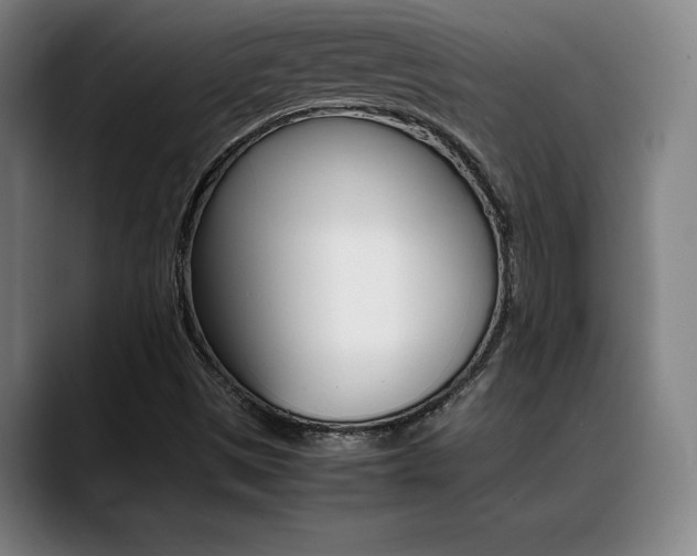 X0000089361497200706150812