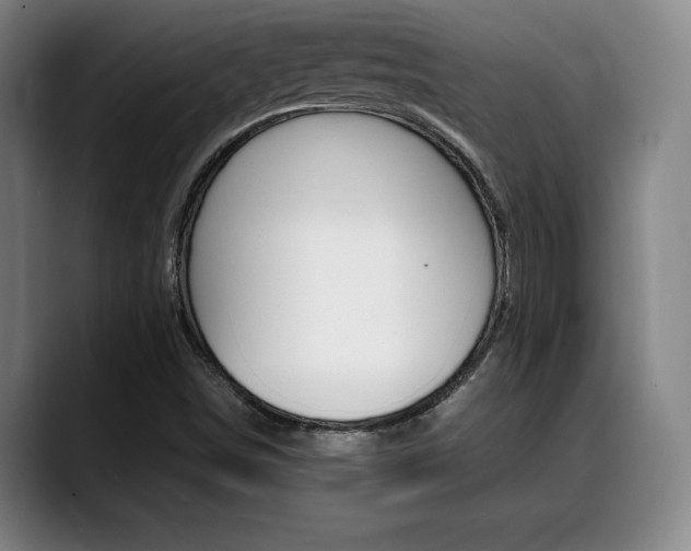 X0000089361498200706150812