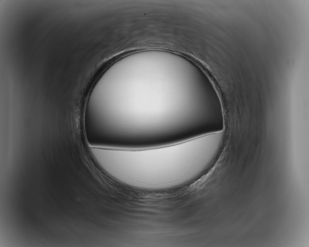 X0000089361499200706150812
