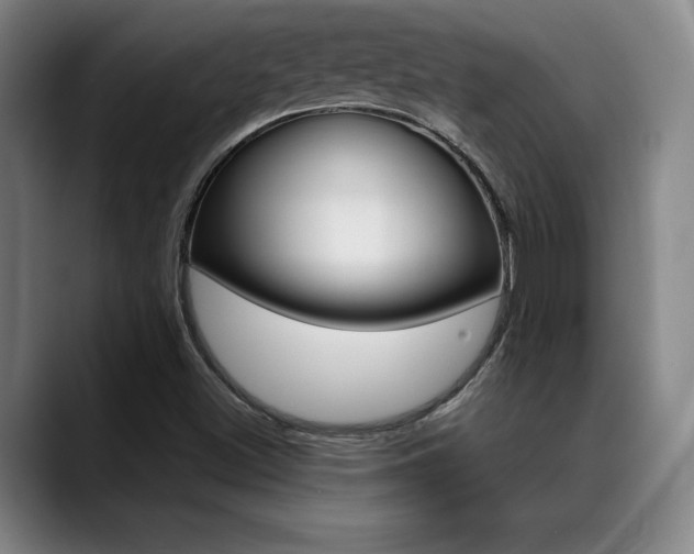 X0000089361500200706150812