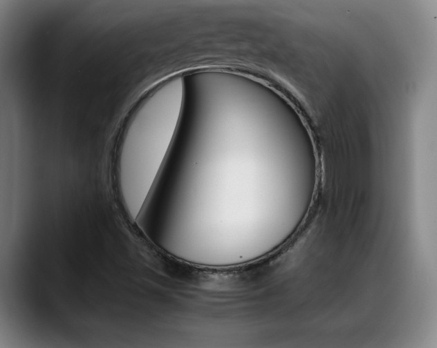 X0000089361501200706150812